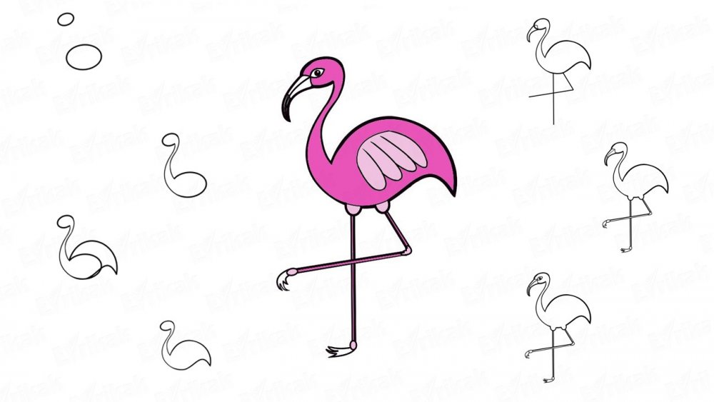 Фламинго скетч маркерами
