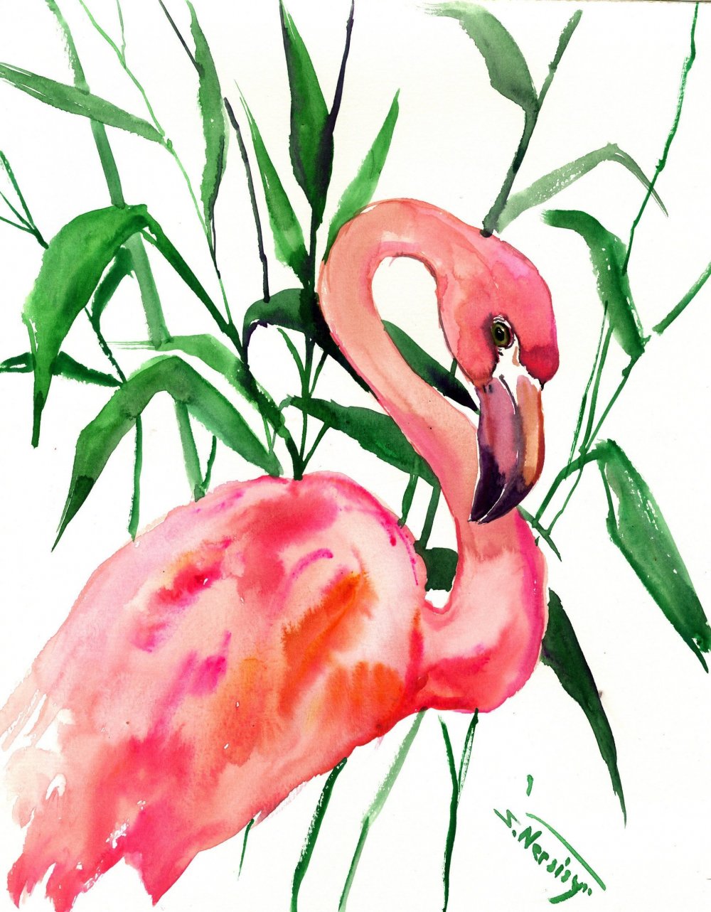 Картины с Фламинго в карандаше