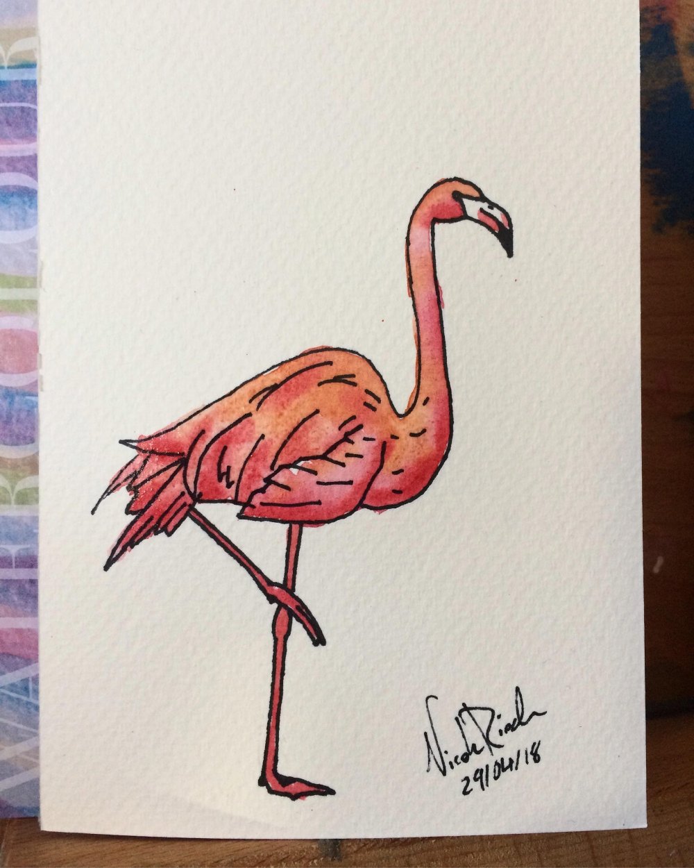 Фламинго иллюстрация Янецкой