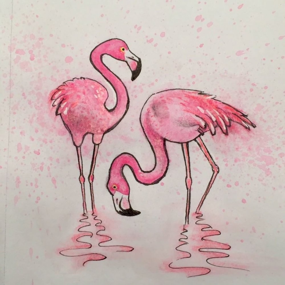 Картинки для срисовки Фламинго легкие