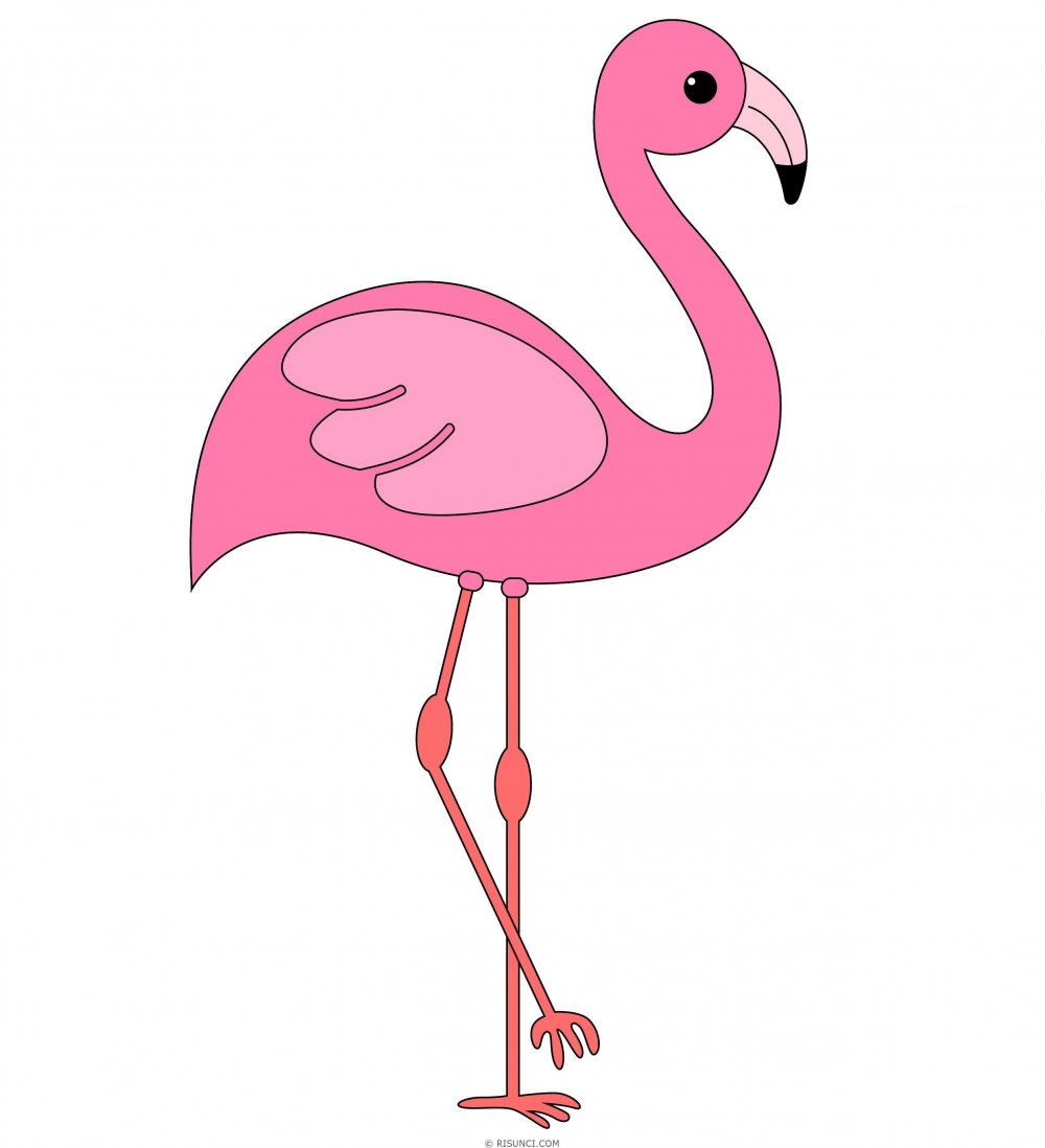 Фламинго фломастерами
