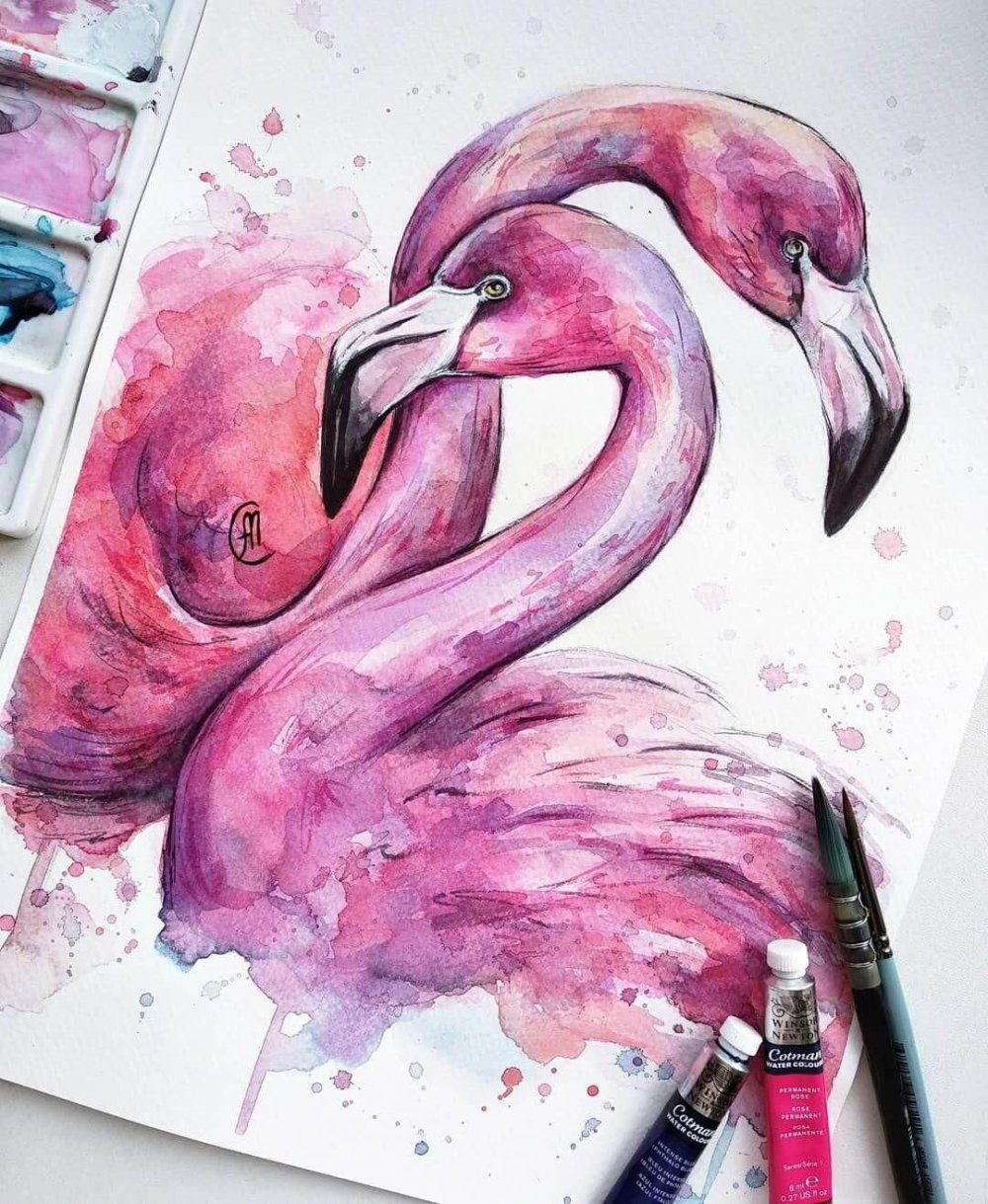 Розовый Фламинго акварель