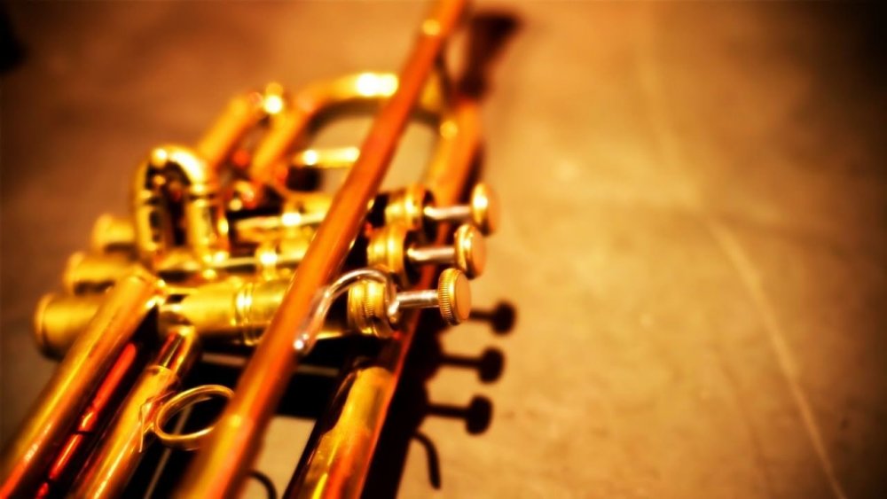 Труба музыкальный инструмент в оркестре