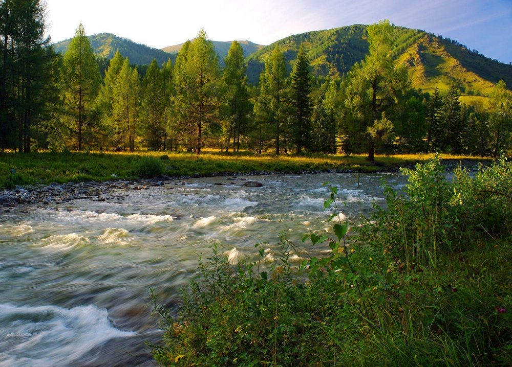 Река Ануй Алтайский край Солонешенский