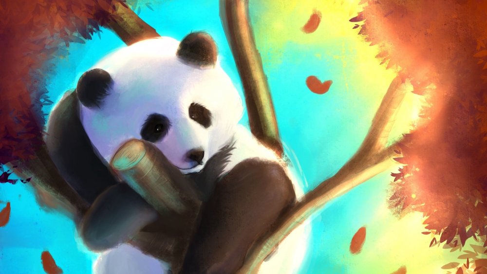 Панда арты милые