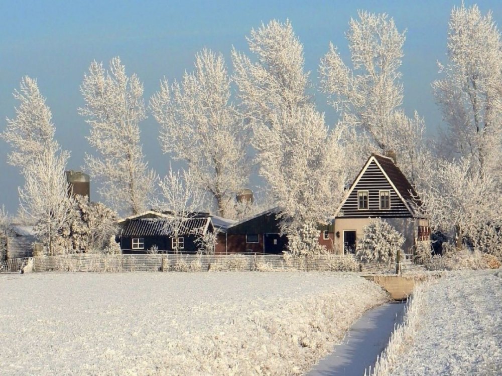Зимний двор в деревне