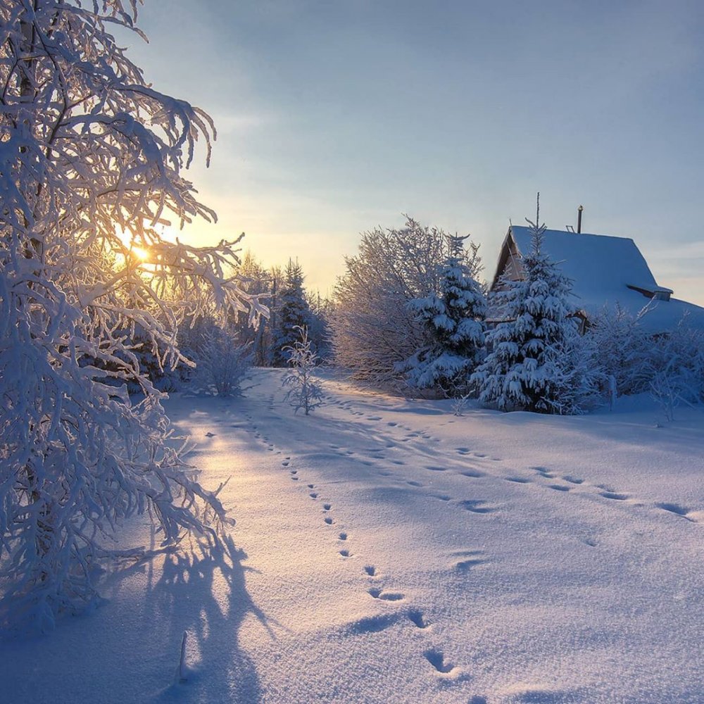 Красивая зимняя деревня