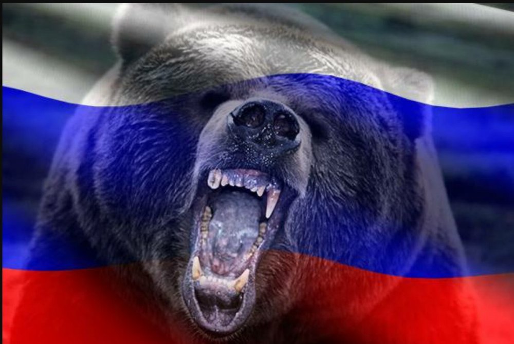 Флаг России с медведем