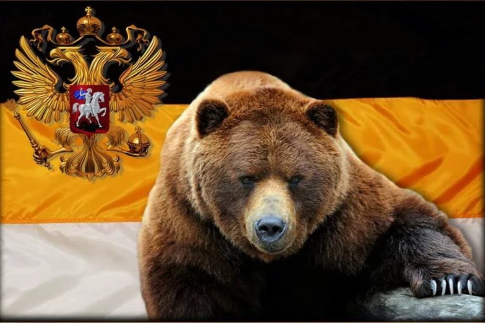 Russian Bear аватарка