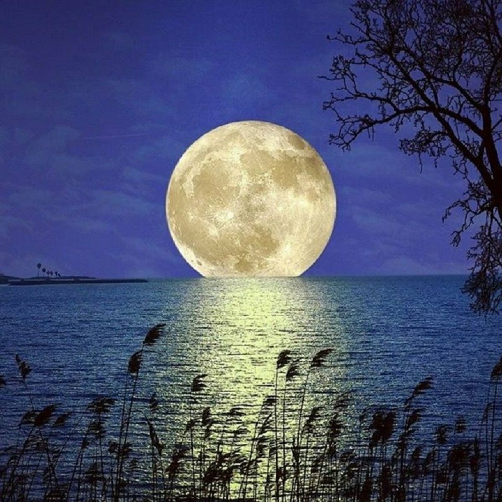 Клод Дебюсси лунный свет рисунок