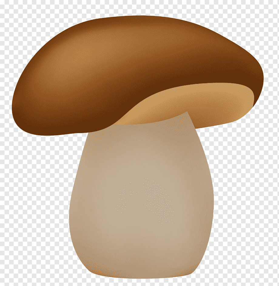Картинки гриб боровик