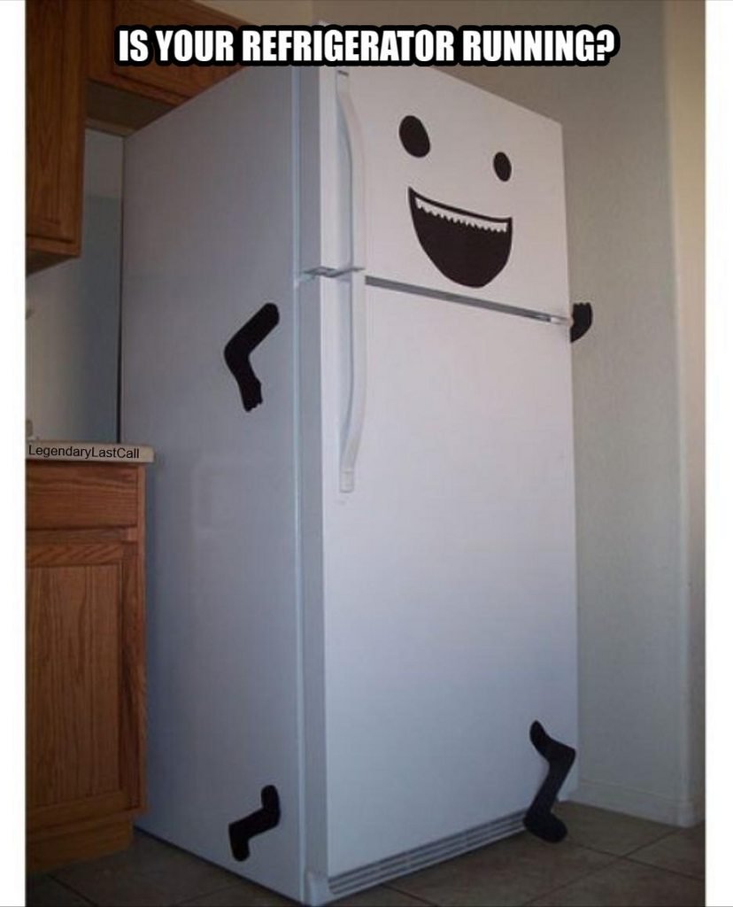Холодильник Freezer Refrigerator EG-302 Empire