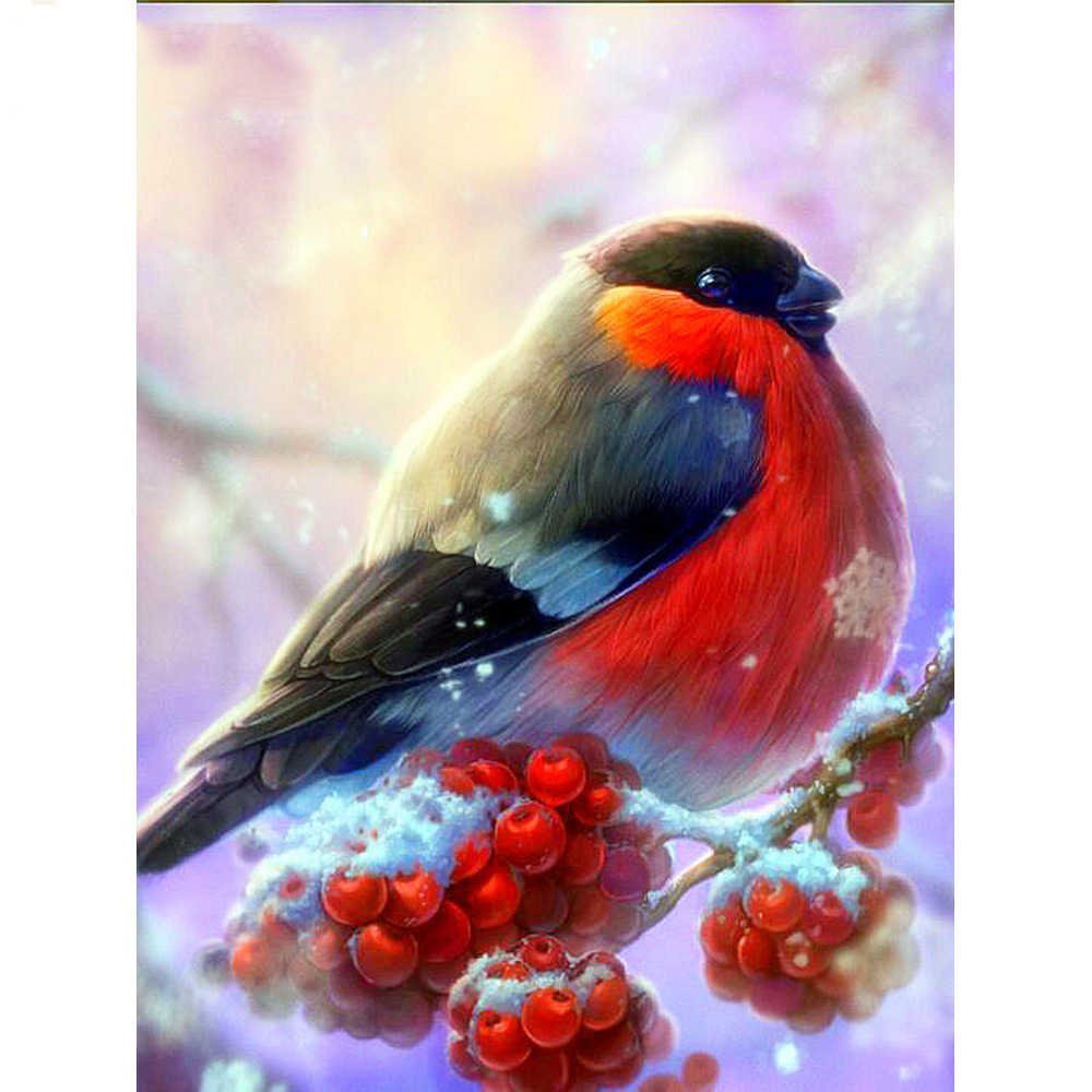 Картинки птицы зимнего отдыха