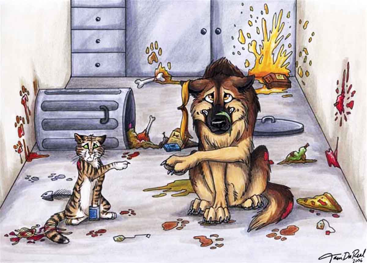 Сюжеты про собак. Смешные рисунки. Карикатуры животных. Веселые иллюстрации. Карикатура с животными.
