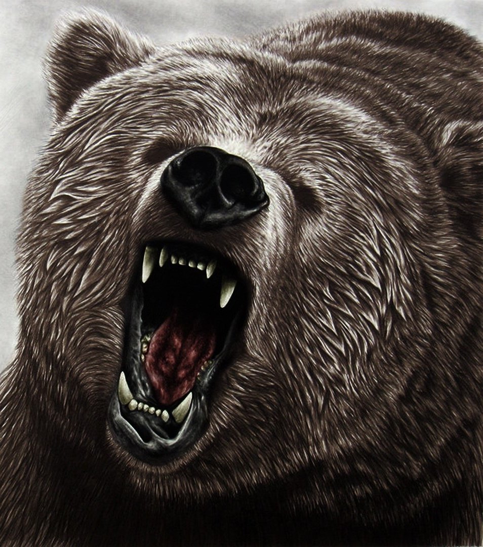 Картина Разъяренный медведь