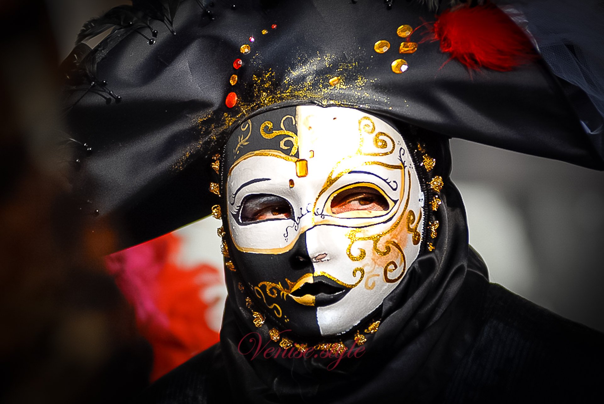 Самая красивая маска. Венецианская маска Вольто. Венецианские маски Вольто мужские. Венецианский карнавал Вольто. Венецианский карнавал Moretta маска.