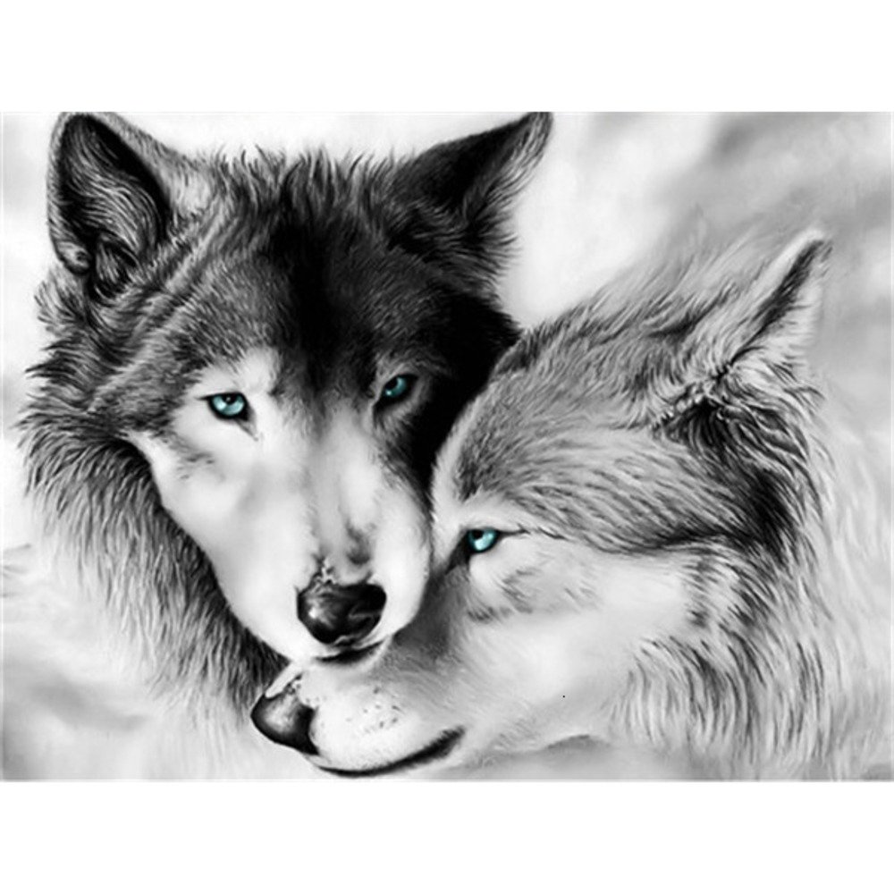 Влюбленные волки картинки