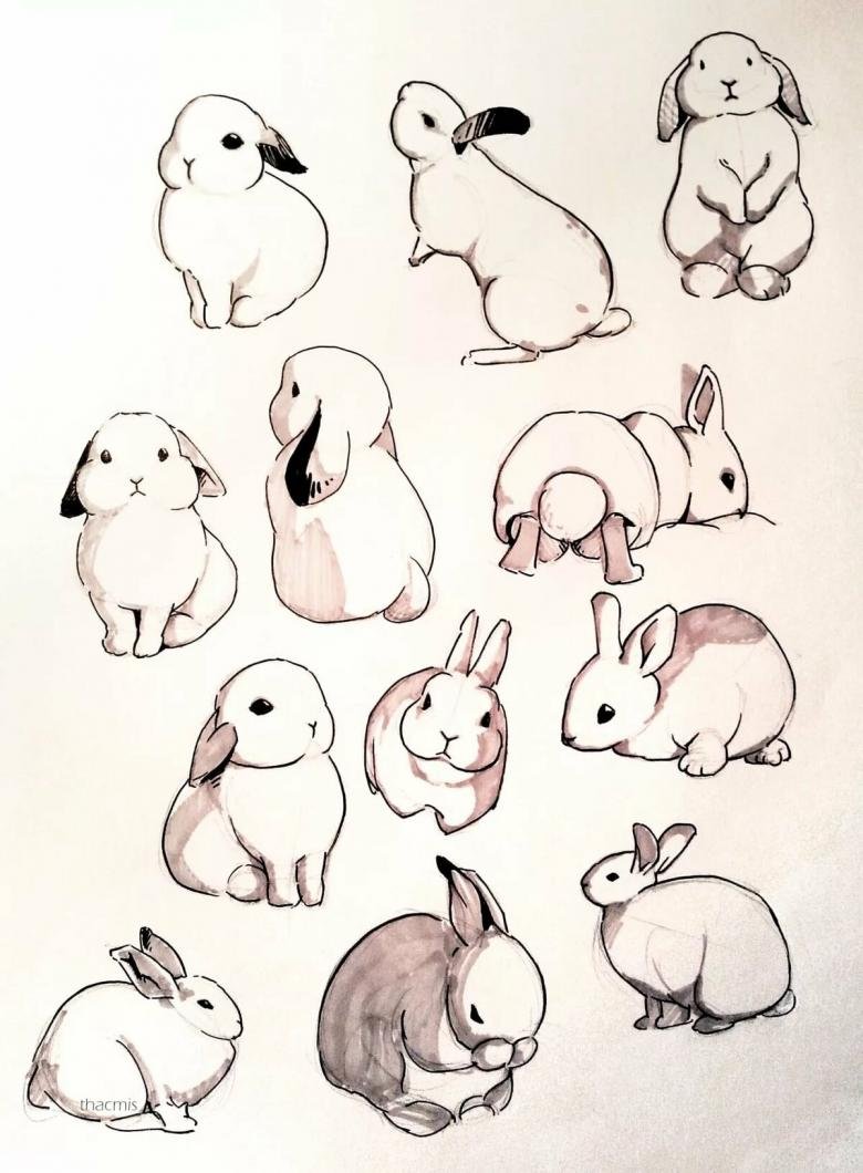 Милые мультяшные кролики