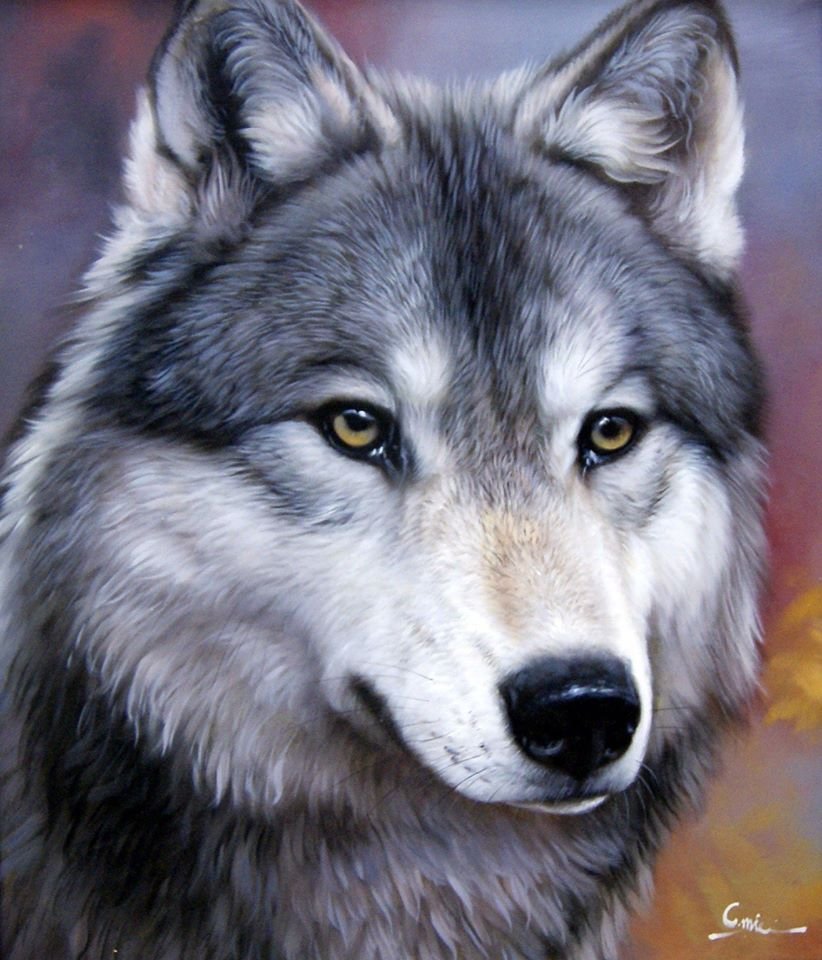 Портрет волчицы
