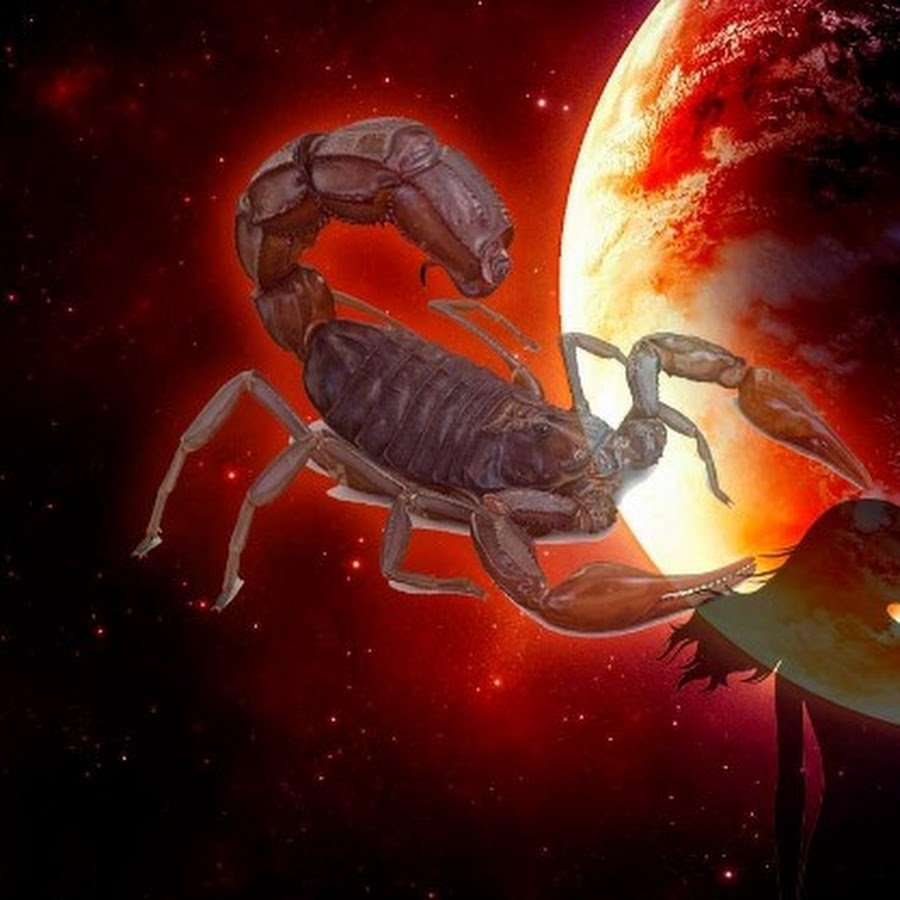 Scorpio знак зодиака