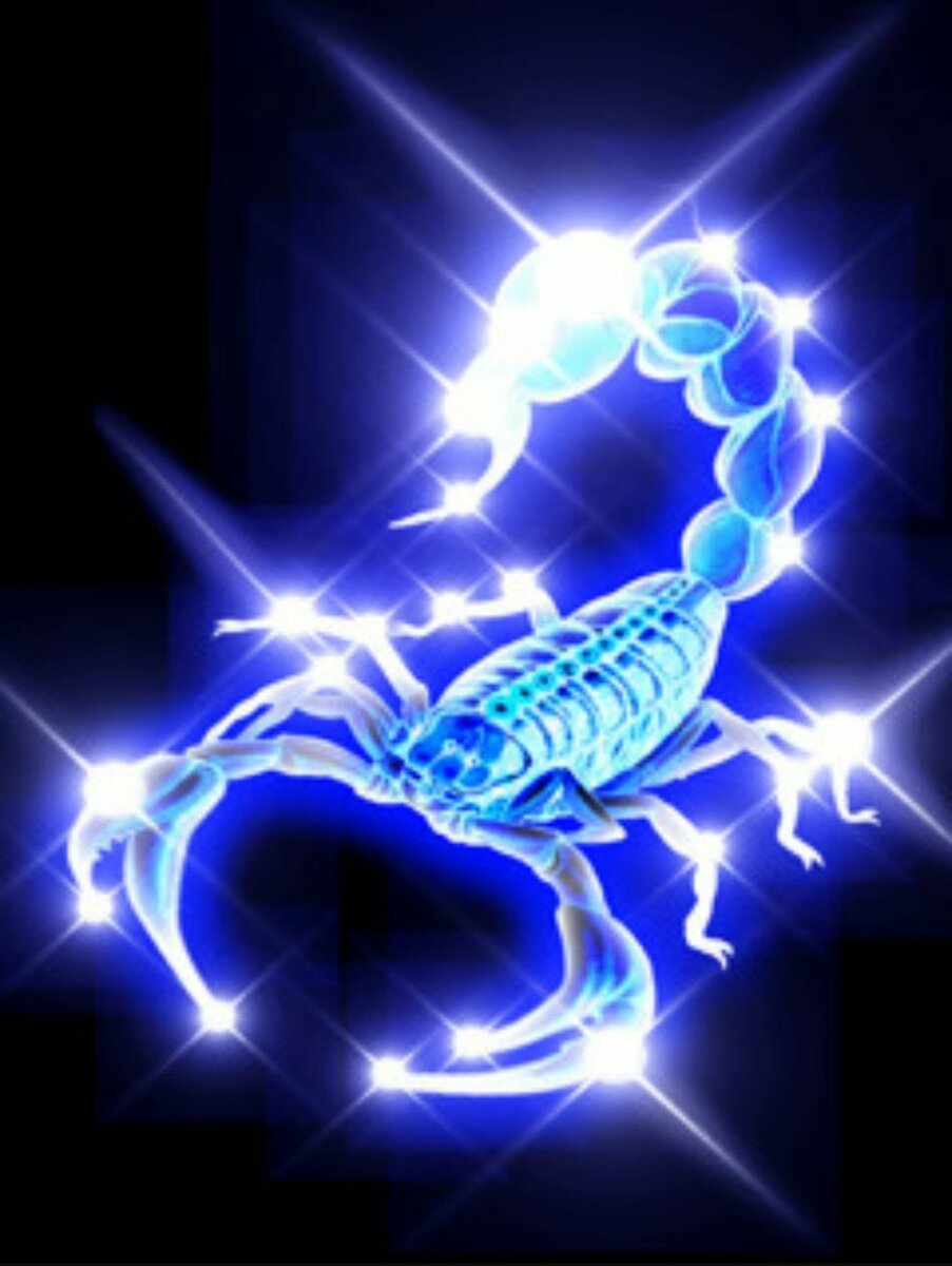 картинки скорпиона на аватарку