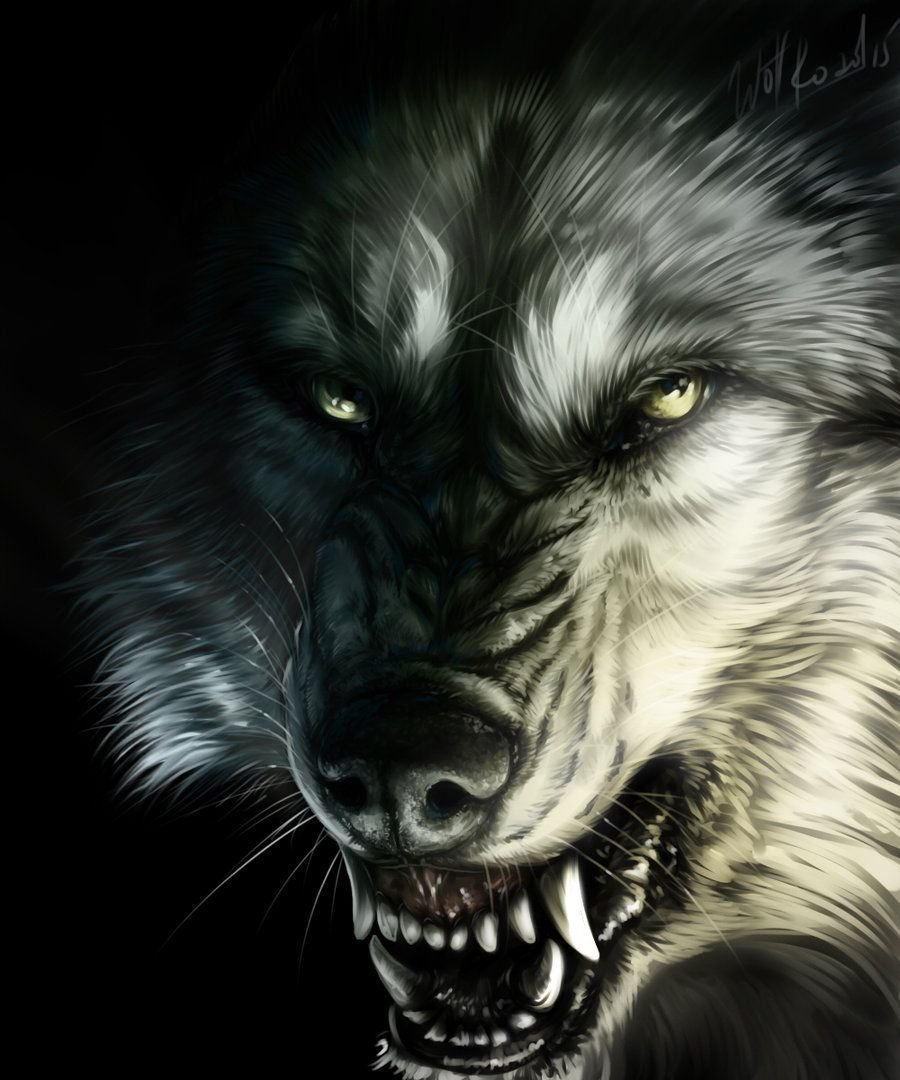 Волк рычит