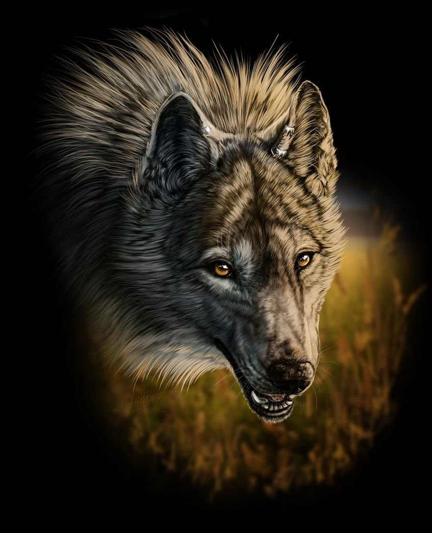 Волчий оскал