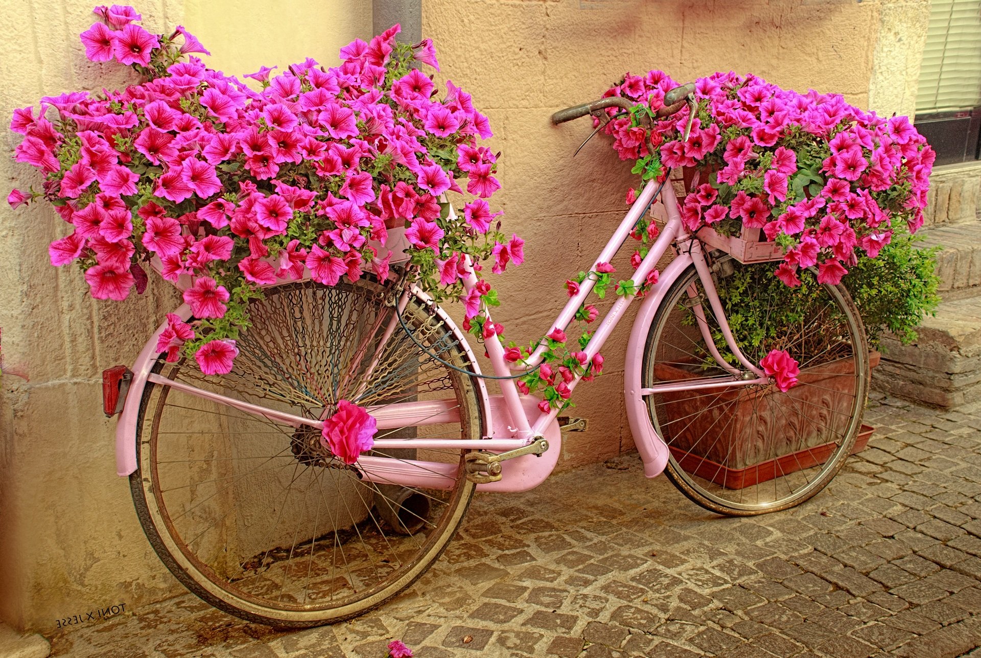 Велосипед в цветах зеленый. Велосипед с цветами. Красивые велосипеды. Велосипед с петуниями. Велосипед в саду декор для сада.