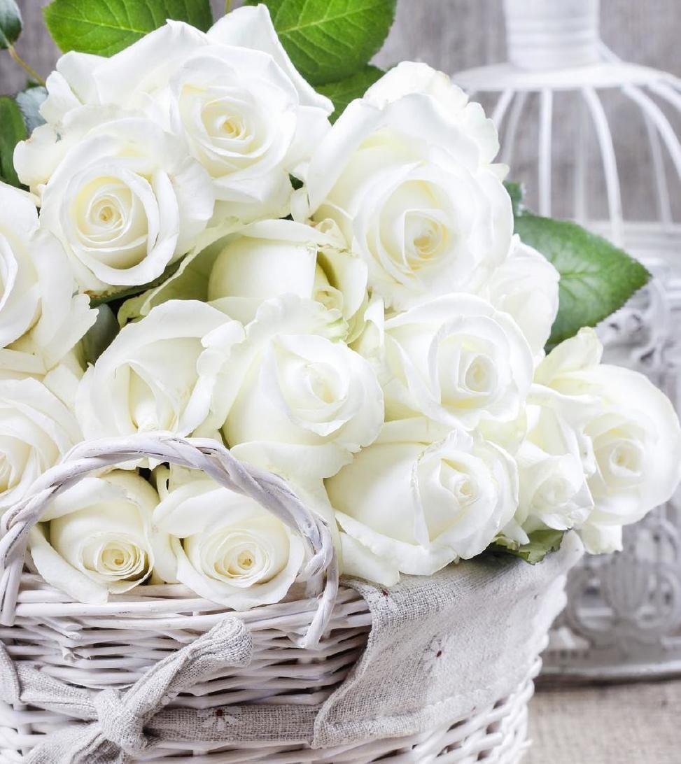 Красивый букет белых цветов