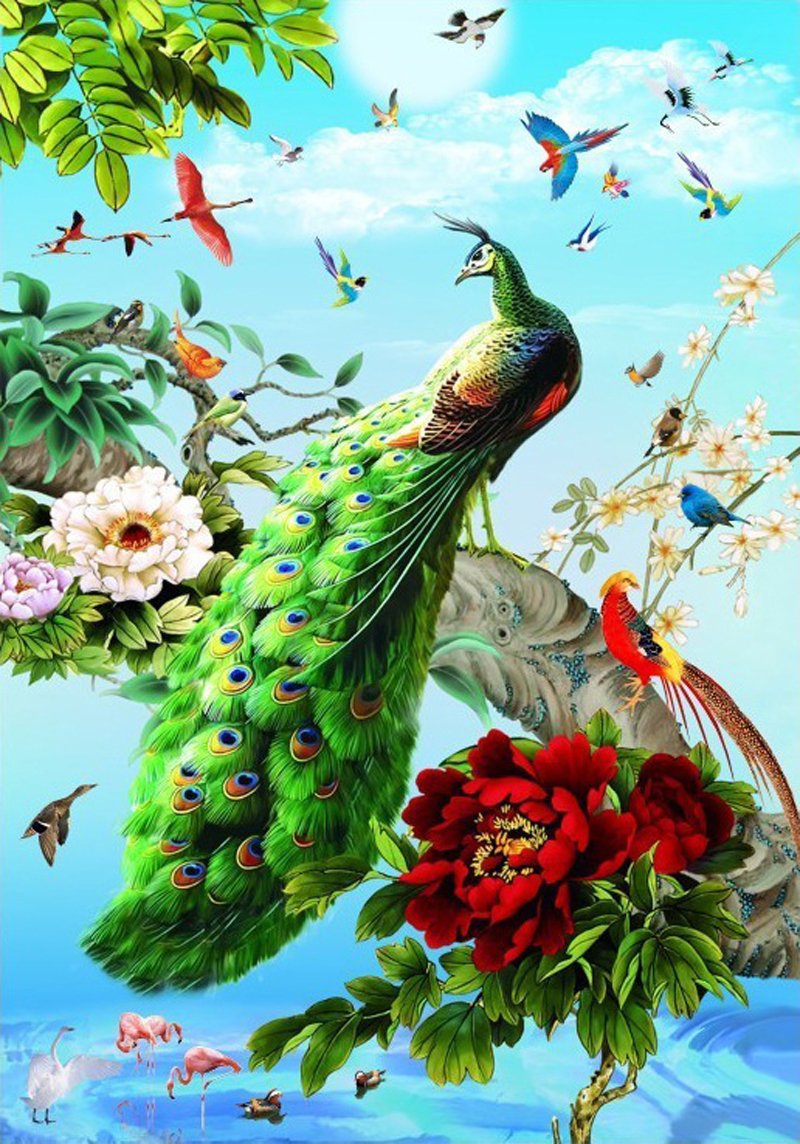 Красивые картинки с птицами и цветами