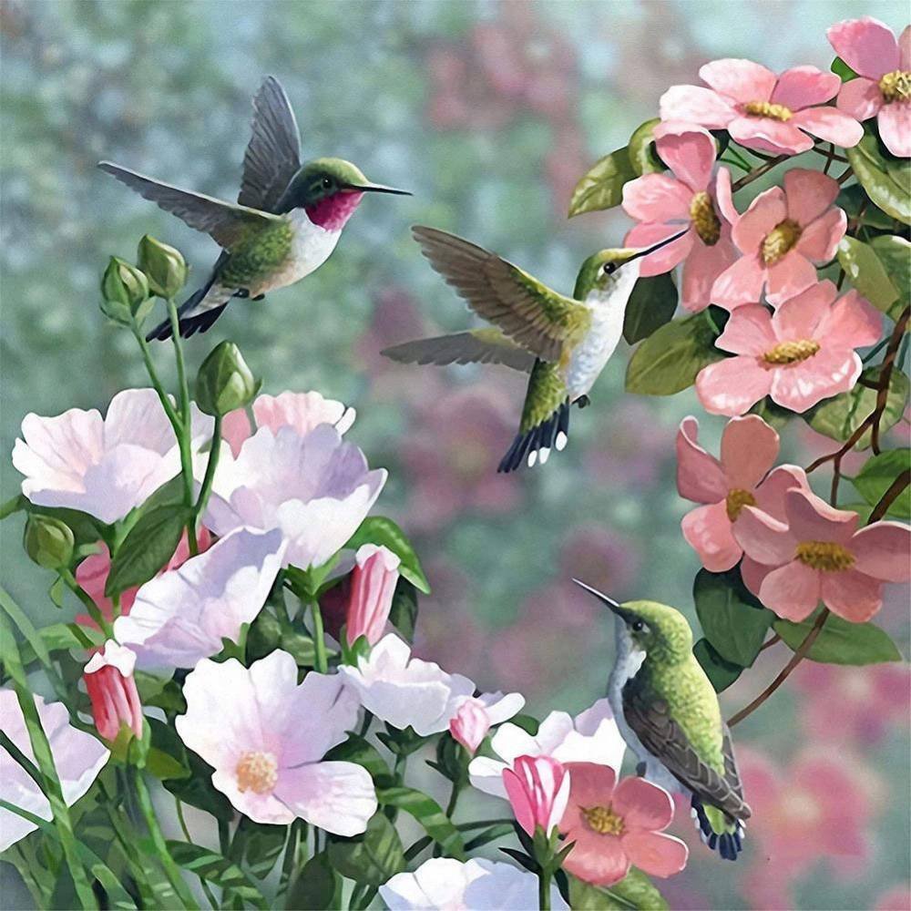 Цветы птицы сад