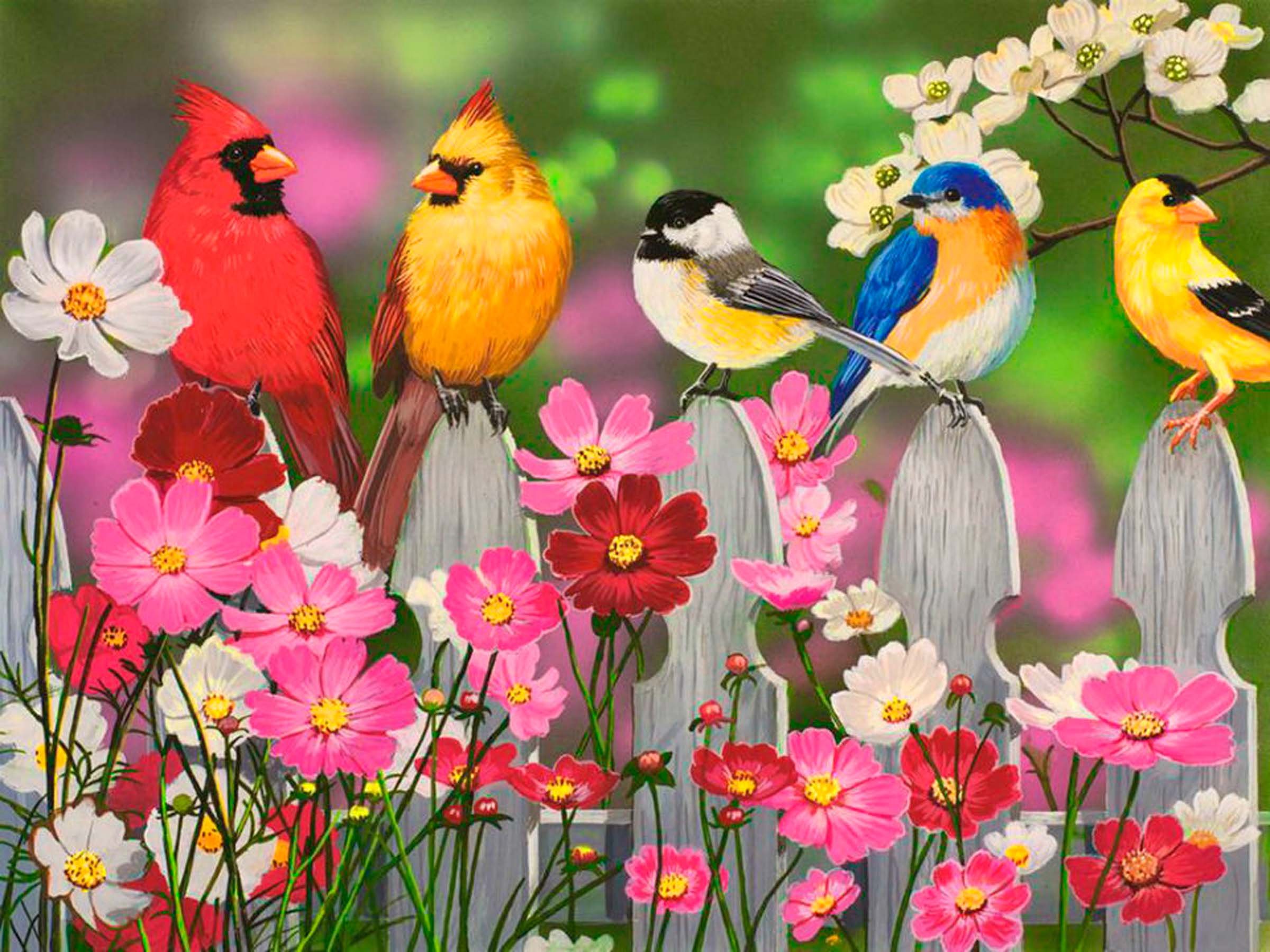 Доброго дня птицы. Яркие птицы. Цветы и птицы. Красивые птицы на цветах.