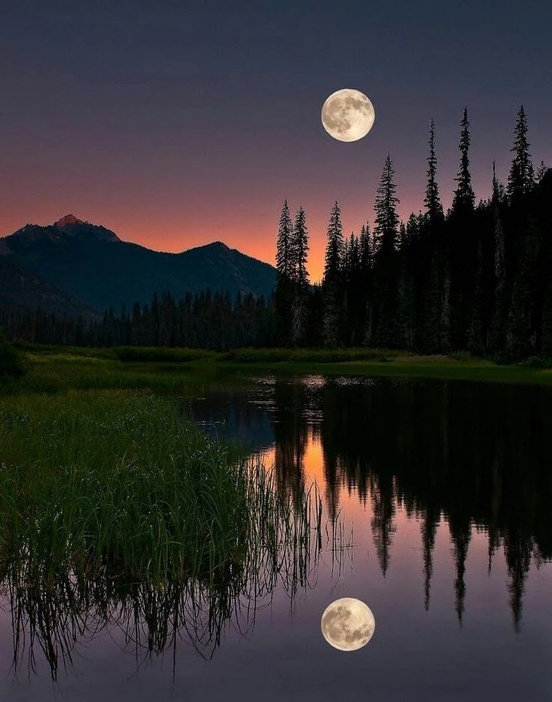Пейзажи ночью картинки. Ночной пейзаж. Лунный пейзаж. Красивая ночь. Природа Луны.