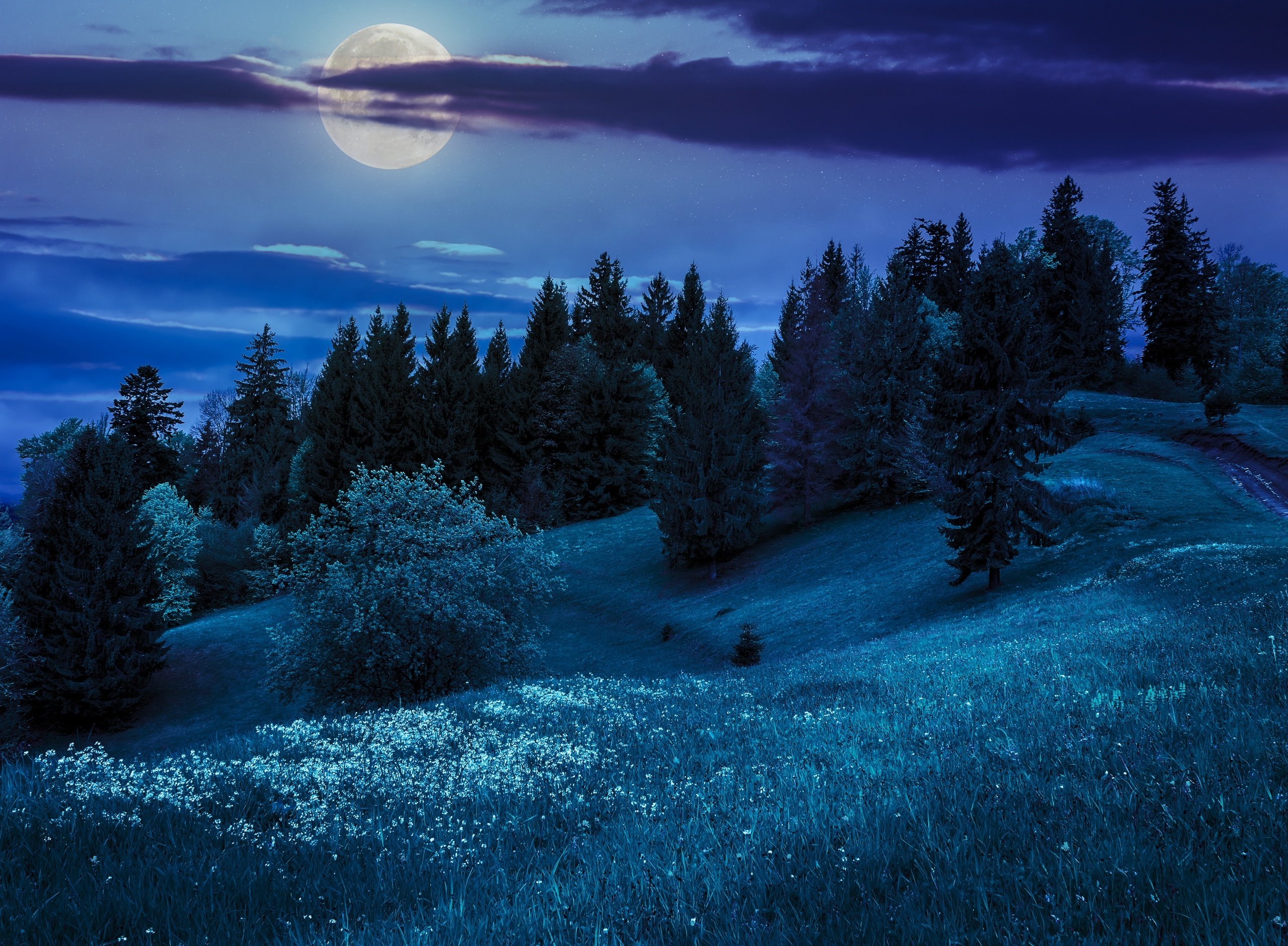 Mir noch. Ночной пейзаж. Природа ночью. Красивые ночные пейзажи. «Ночь в лесу».