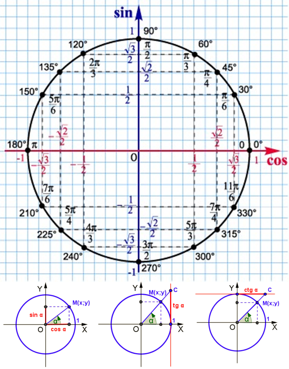 В какой четверти находится точка p. П/6 на числовой окружности. Единичная окружность тригонометрия 10 класс. Тригонометрический круг единичная окружность. Макет тригонометрической окружности.
