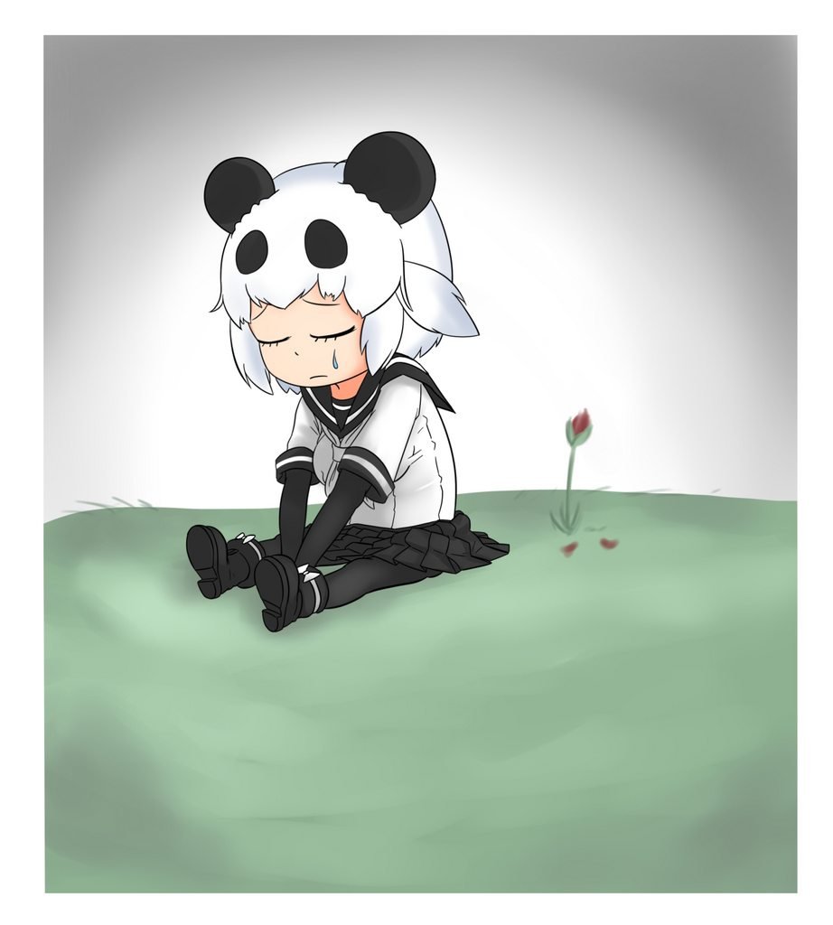 Панда разочарования