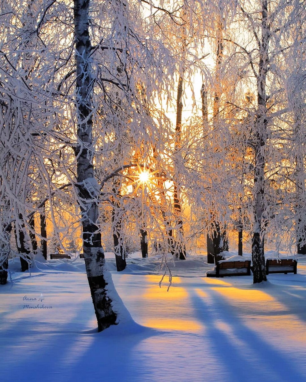 Картинки с зимней природой