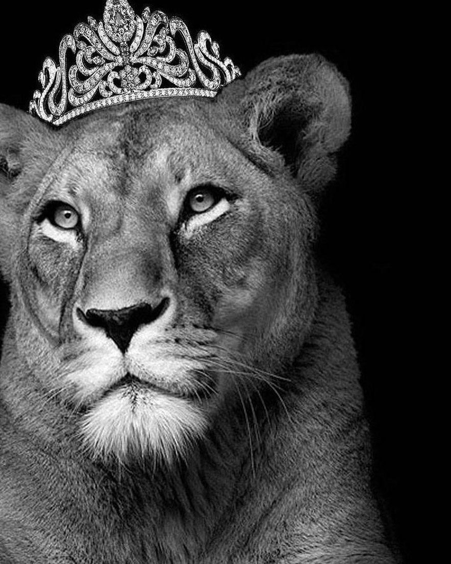 Львиная голова с короной