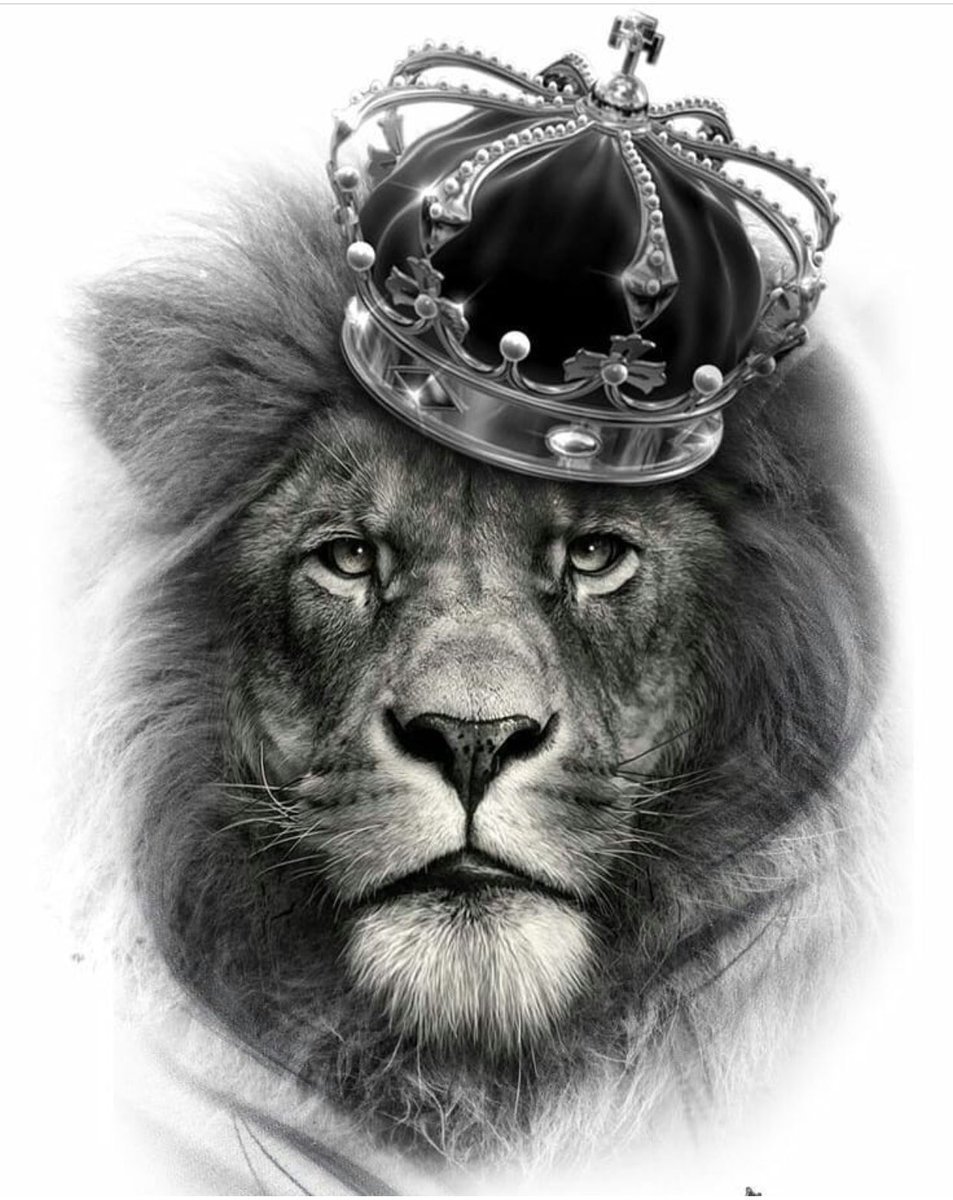 Картинки льва с короной