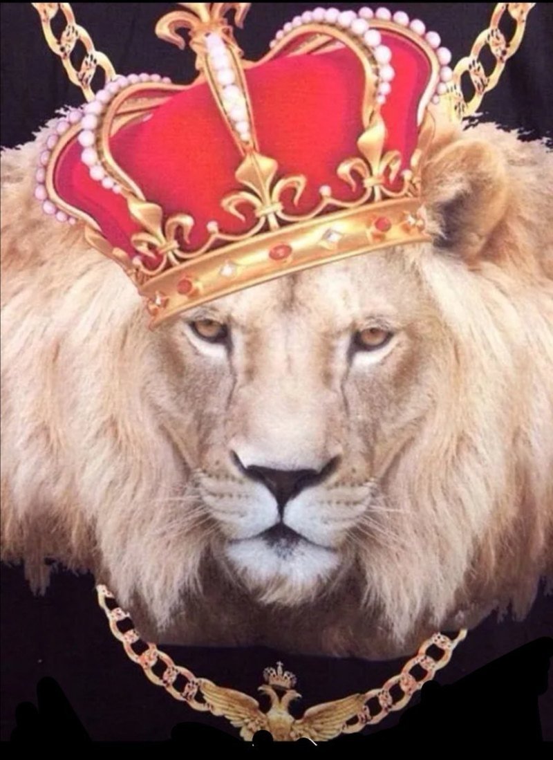 Лев цветной с короной на голове