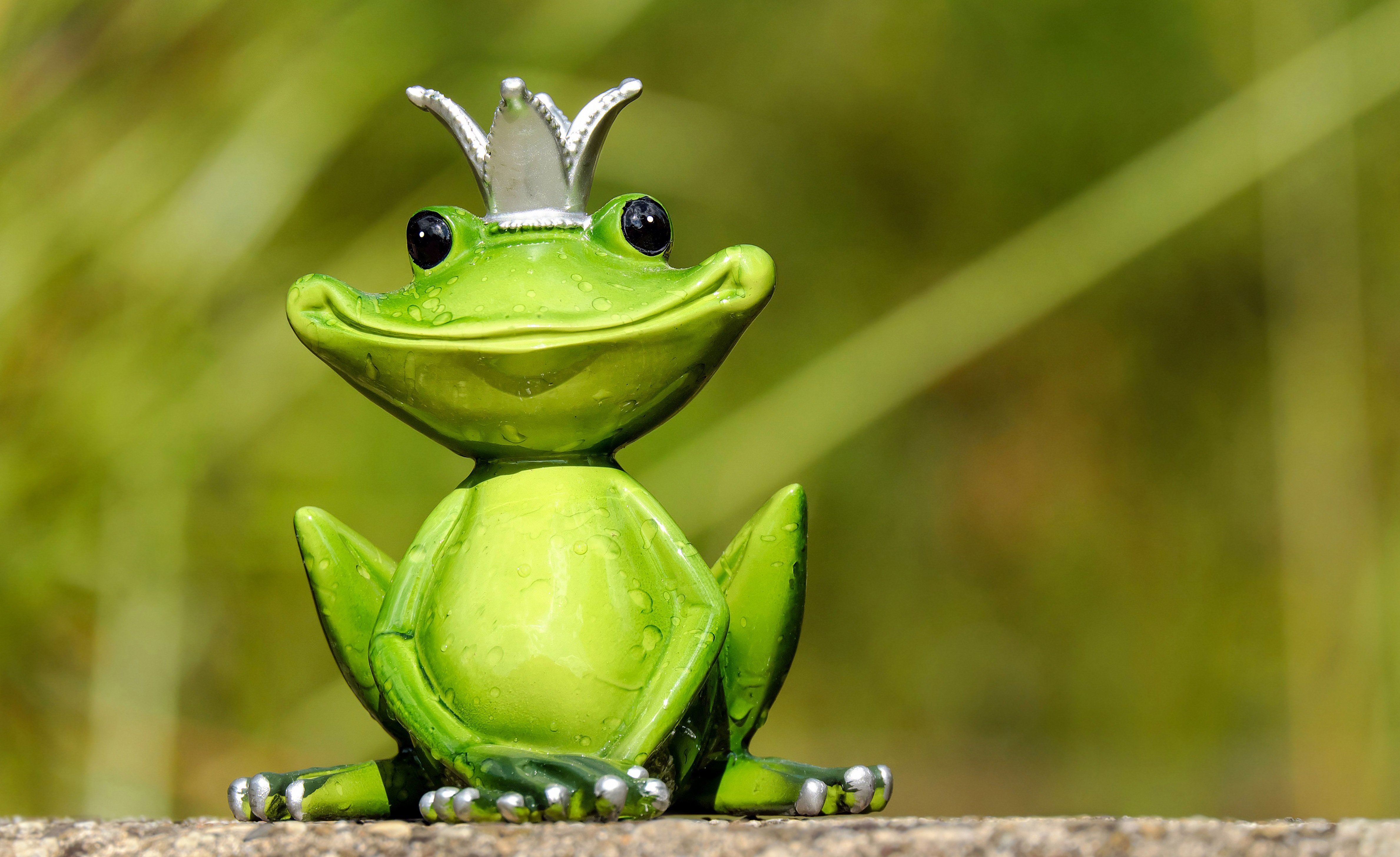Elephant frog. 4 Лягухи. Нанолягушка. Милые лягушки. Лягушка улыбается.
