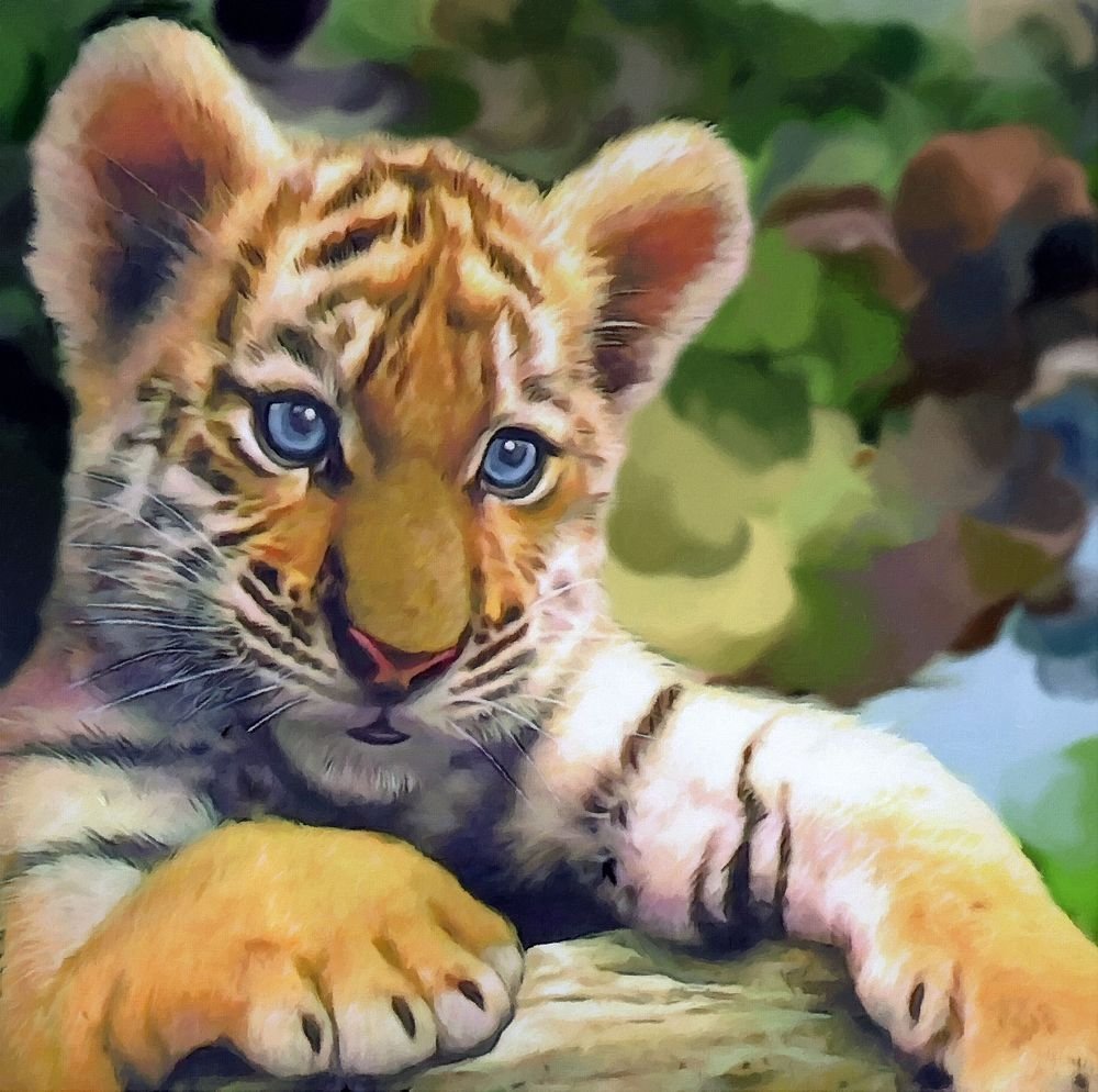 Тигр с голубыми глазами