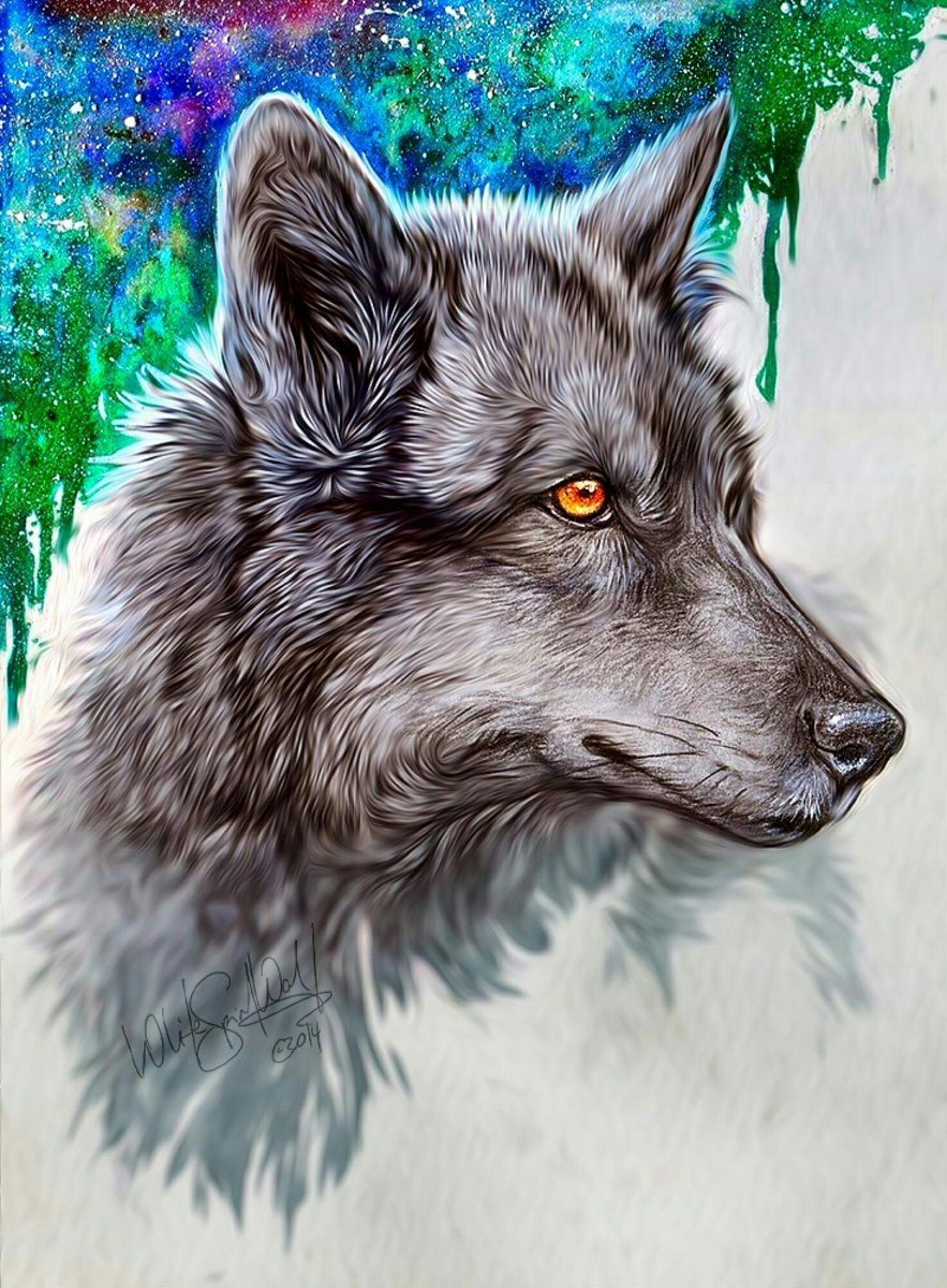 Цветные картинки волка. Красивый волк. Волк рисунок. Волк красками. Нарисовать волка.