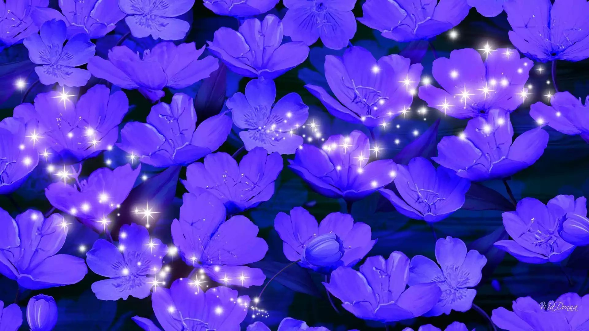 Красивый цветок на фон телефона. Фиолетовые цветы. Сиреневые цветы. Синие цветы. Сине фиолетовые цветы.