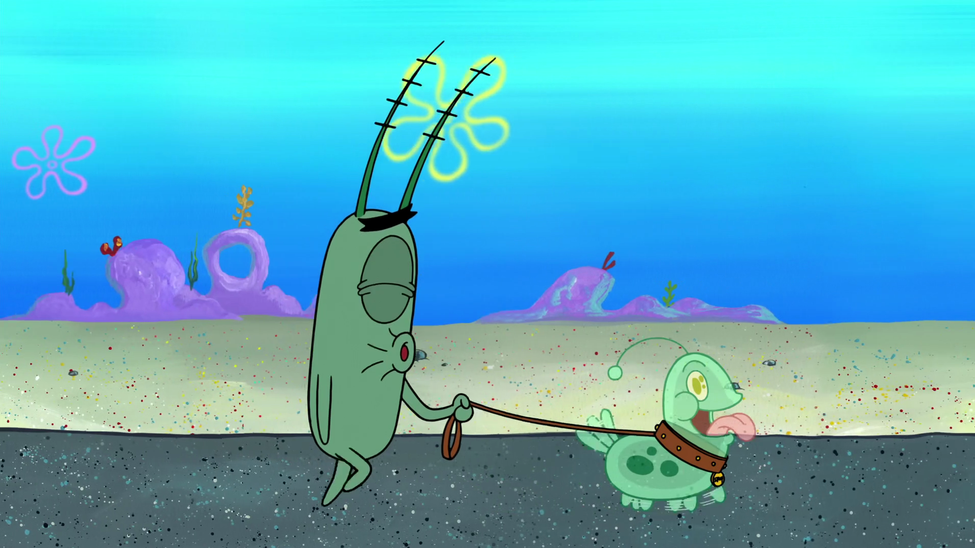 Планктон из губки Боба. Спанч Боб квадратные штаны планктон. Губка Боб Шелдон планктон. Покажи планктона