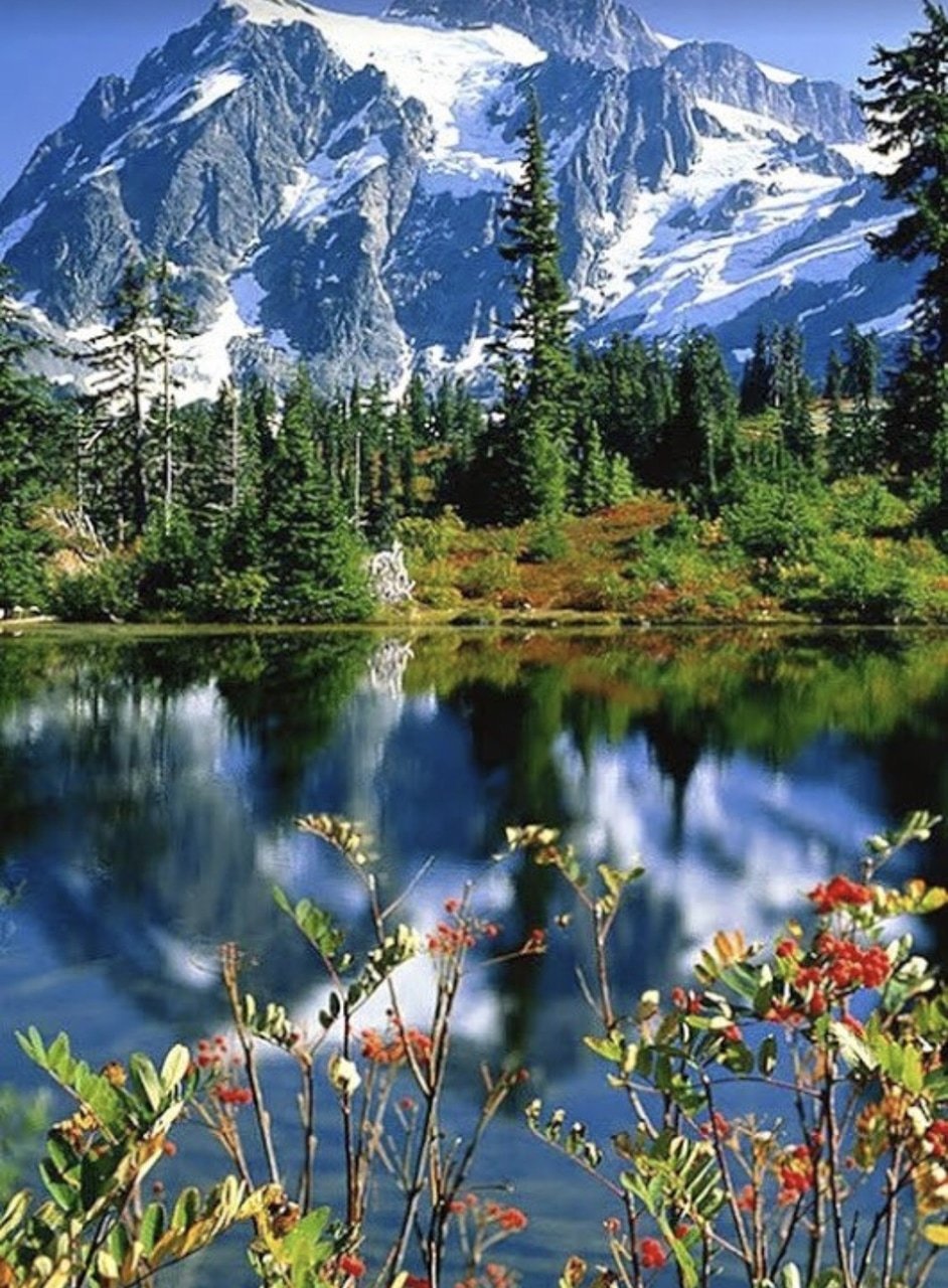 Штат Вашингтон природа горы