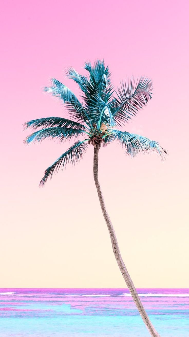 Розовый песок и пальмы