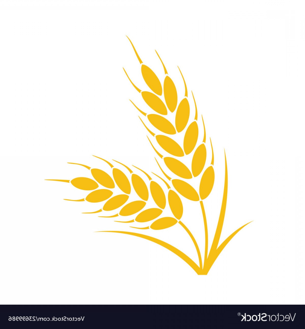 Колос пшеницы логотип