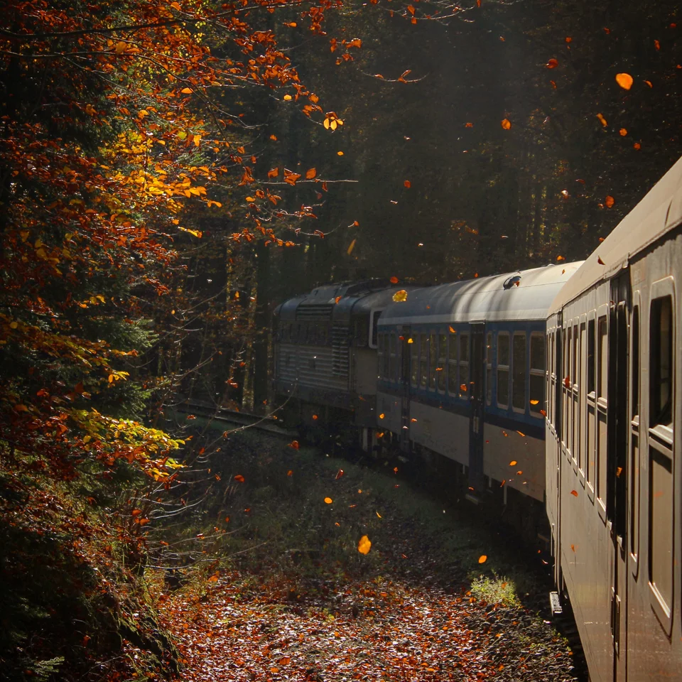 Поезд в осеннем лесу