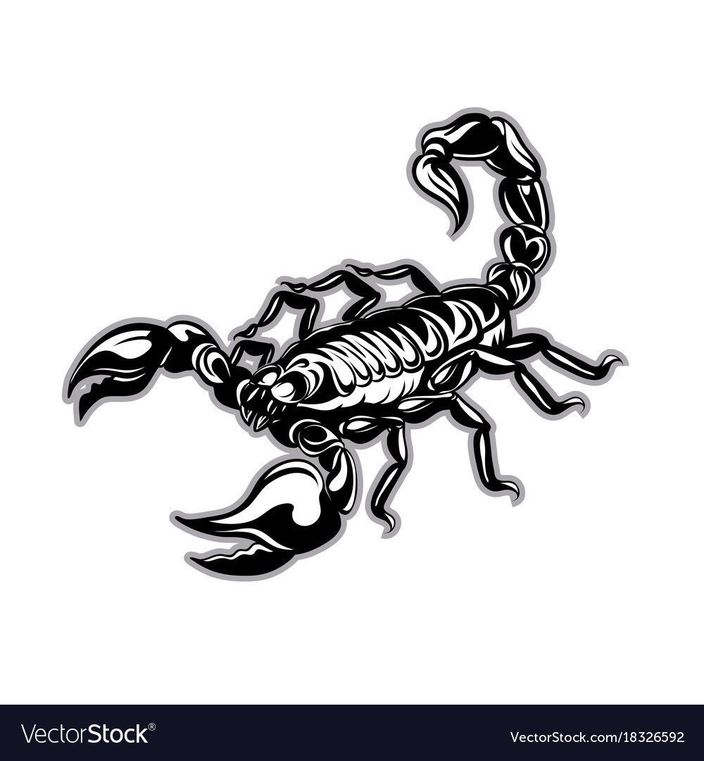 Скорпион арт